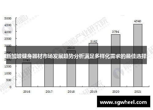 新加坡健身器材市场发展趋势分析满足多样化需求的最佳选择