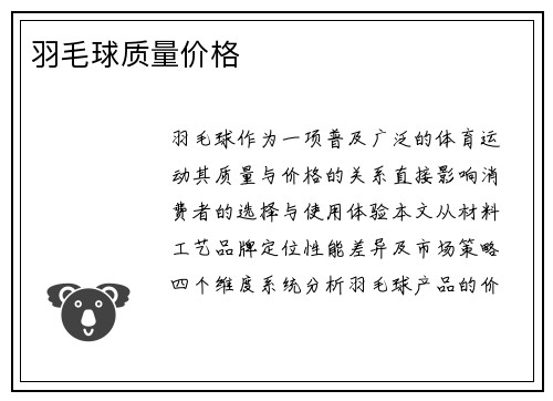 羽毛球质量价格